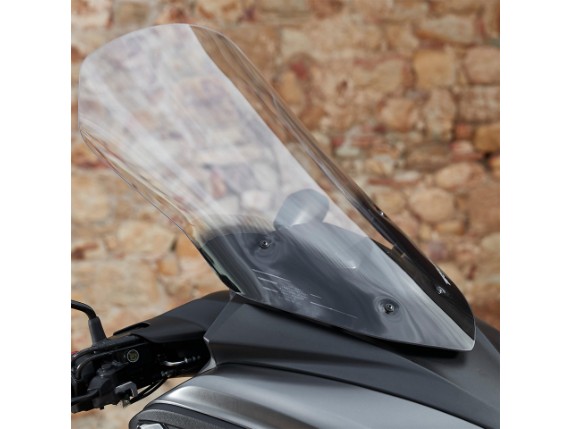 HOHER WINDSCHILD 2