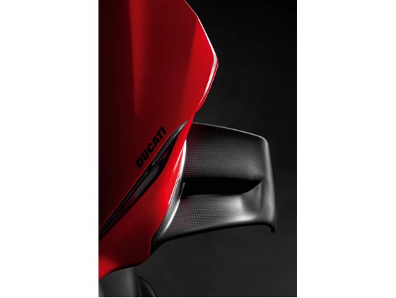 Paar Flügelteile aus Kohlefaser.2