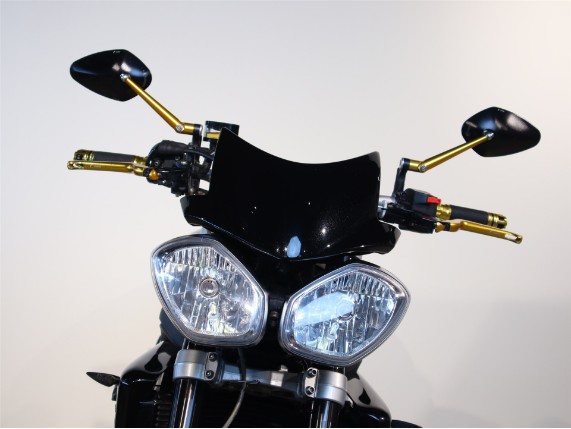 Triumph Street Triple R 675, SMTTMD4166B453488