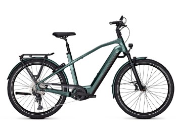 Endeavour 7 Move+ - techgreen glossy - 750Wh - Herrenrad - Shimano Cues 10-Gang