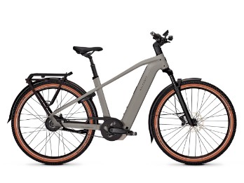 Entive 5 Advance Belt+ - 800Wh - moonstonegrey matt - Trekkingrad - Zahnriemen - Enviolo stufenlos