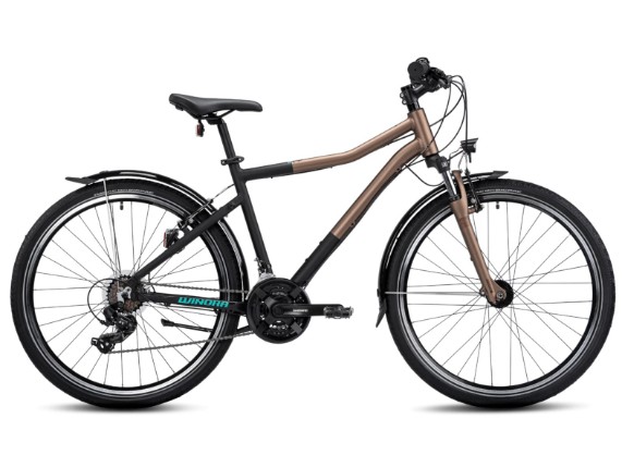 40020235, Bike Wino
