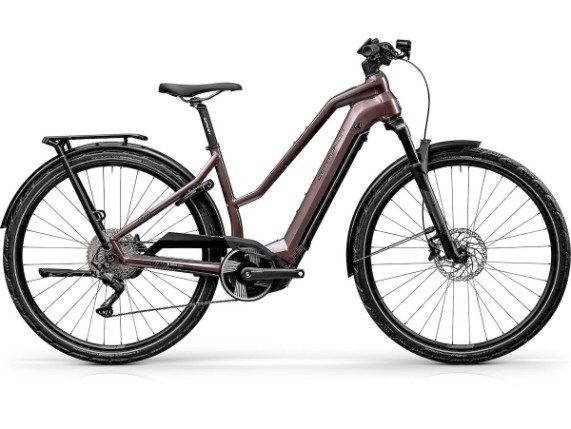 42234140, eBike Cent.Tr