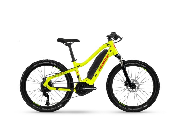 45000234, eBike Haib