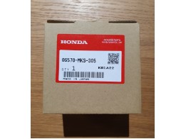 Bremsmodulator (CBF1100 20)