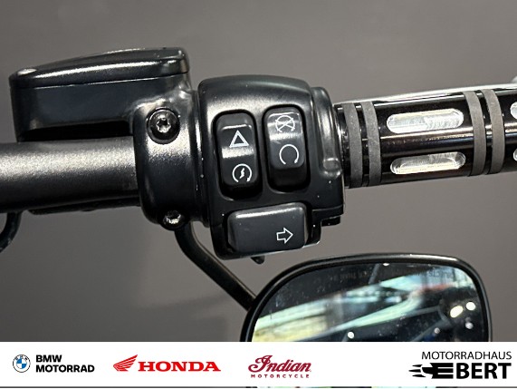 Harley-Davidson FAT BOB 114, 0020688