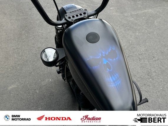 Harley-Davidson XL1200N, 0020351