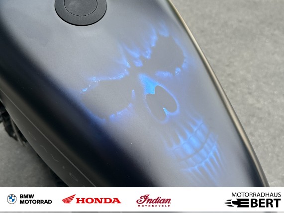 Harley-Davidson XL1200N, 0020351