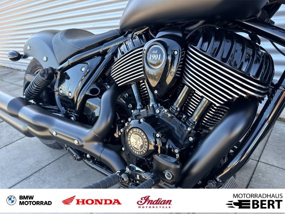 Indian Chief Dark Horse, 0020013