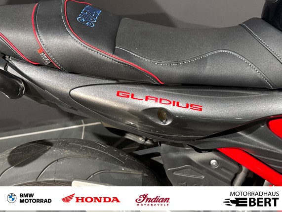 Suzuki Gladius 650, 0020768