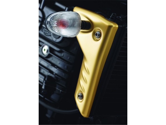 A9758005, KUEHLERABDECKUNGEN KIT GOLD