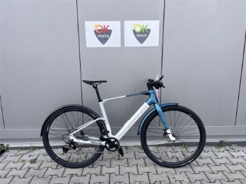 Dusty X 2025 blau weiß (L)