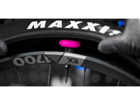 AirTag-Halterung (5) + Stealth_Tubeless_Tag_Holder_-_DSC05448_1_2_1900x_crop_center