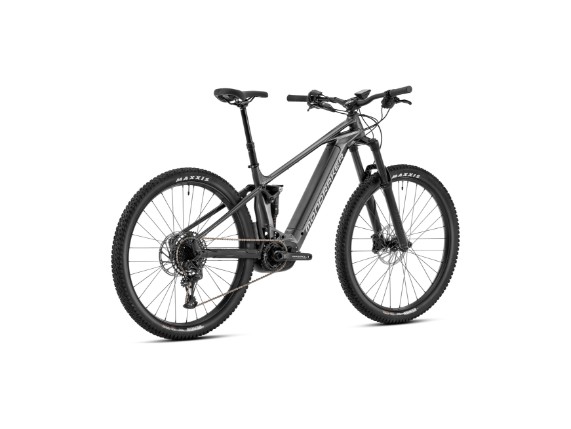 Chaser 29 2023 Graphite Hinten