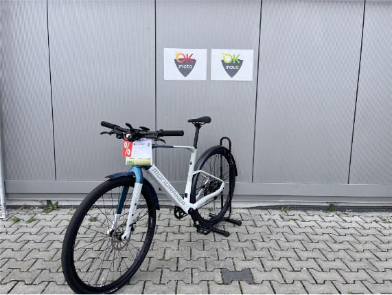 Dusty R 2025 blau 46cm (1)