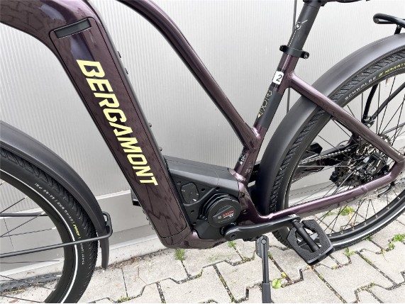 E-Horizon Premium Expert Lady lila (4)