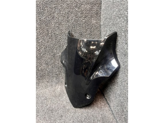 kurzes Windschild smoke Z900 BJ 2017-2019 (3)