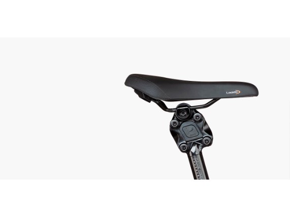 Sattelstütze Cane Creek Thudbuster