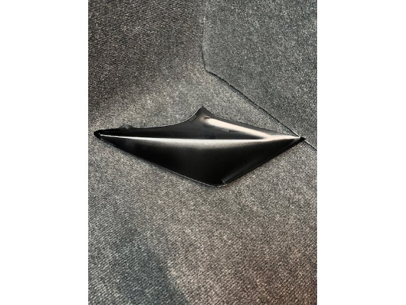 Seitenverkleidung XSR 900 80 black BJ 2020 (5)
