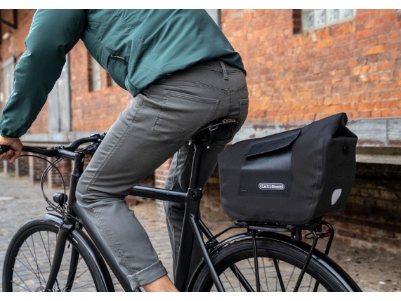 trunk_bag_rc_ham_28024