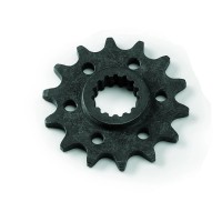 Ritzel