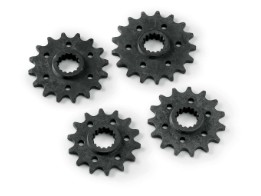 Ritzel