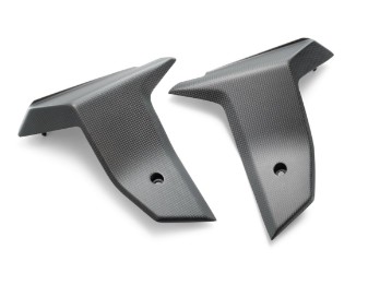 Carbon Kühlerspoiler