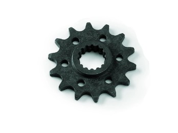 Ritzel