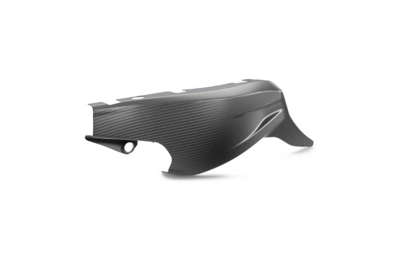 pho_pp_nmon_555472_a6240494604449_swingarm_protection_studio_pictures_street__sall__awsg__v1