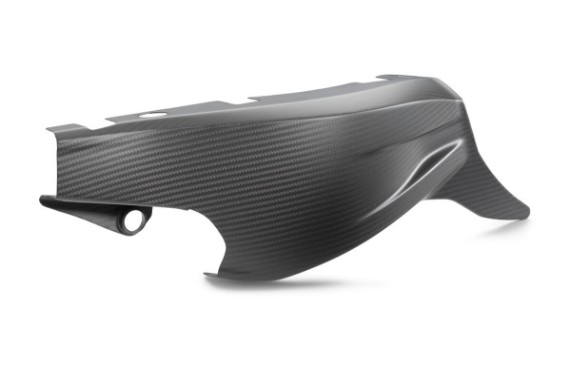 pho_pp_nmon_a6240494604449_swingarm_protection_studio_pictures_street__sall__awsg__v1