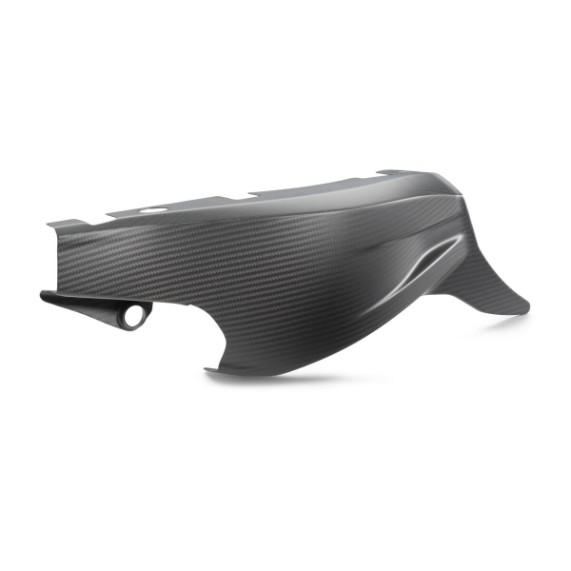 pho_pp_nmon_555472_a6240494604449_swingarm_protection_studio_pictures_street__sall__awsg__v1