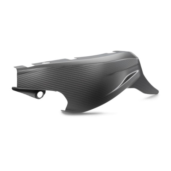 pho_pp_nmon_a6240494604449_swingarm_protection_studio_pictures_street__sall__awsg__v1