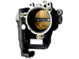 Throttle Body 55mm