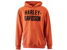 Hoodie Hallmark Foundation Variation