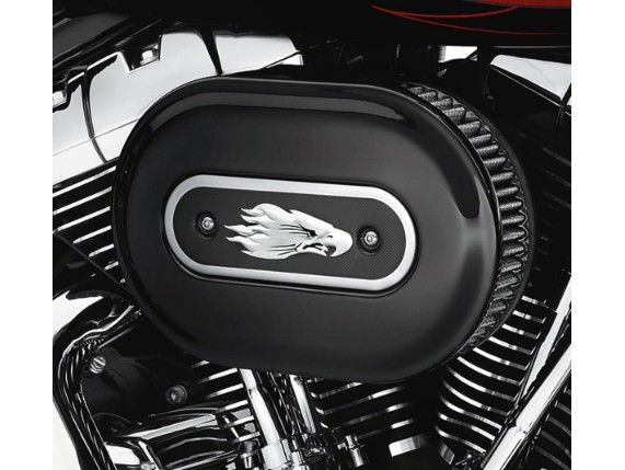 28722-10_harley(1)