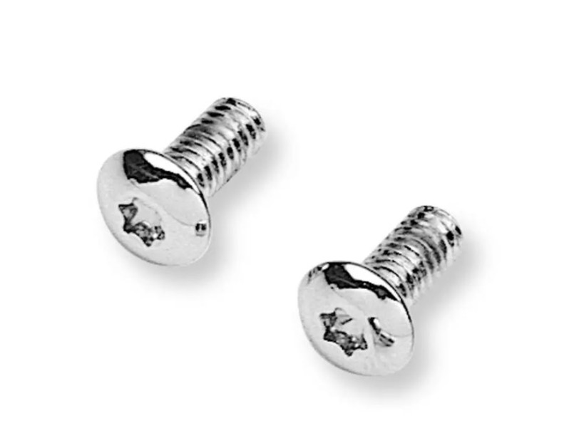 2 Torx Schrauben