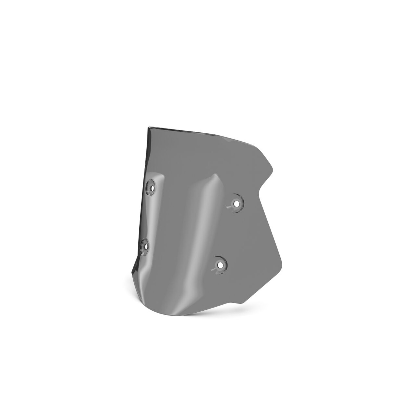 BMW Motorrad Windschild niedrig getönt F900GS