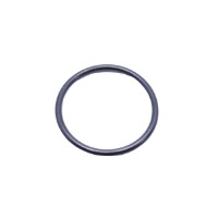 DICHTRING FILTERGLAS/FILTER