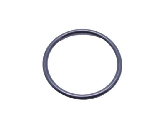8803585 Dichtring Filterglas VAL6