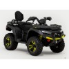 1000 BLADE MAX ABS FL EPS