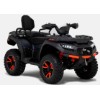 1000 BLADE MAX ABS Touring FL