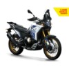 800 DS-X Rally