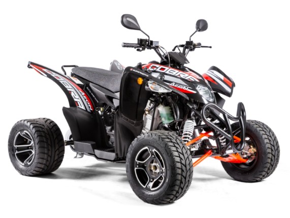 AEON 424 COBRA SM EFi, RF3TA5683PT001651