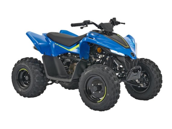 CF-MOTO 110 C-Force Kinder-Quad, LCELBHL22R6004368