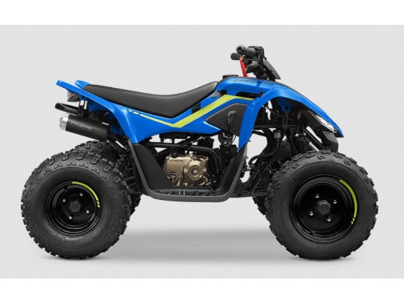CF-MOTO 110 C-Force Kinder-Quad, LCELBHL22R6004368