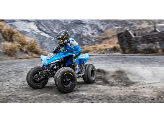 CF-MOTO 110 C-Force Kinder-Quad, LCELBHL22R6004368
