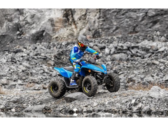 CF-MOTO 110 C-Force Kinder-Quad, LCELBHL22R6004368