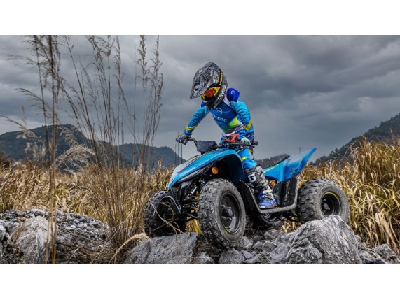 CF-MOTO 110 C-Force Kinder-Quad, LCELBHL22R6004368