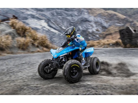 CF-MOTO 110 C-Force Kinder-Quad, LCELBHL22R6004368