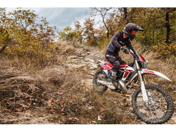 FANTIC 300 XE 2-Takt Hard-Enduro, ZFMXE300ARM000164